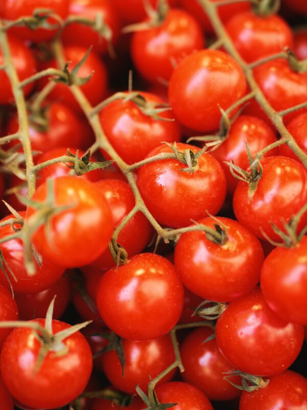 Cherry Tomato